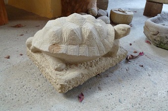 Schildkröte (3).jpg